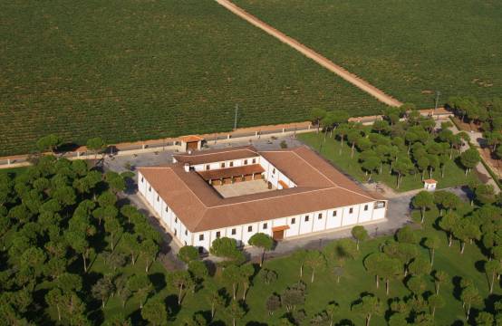 Het wijngoed omring door wijngaarden